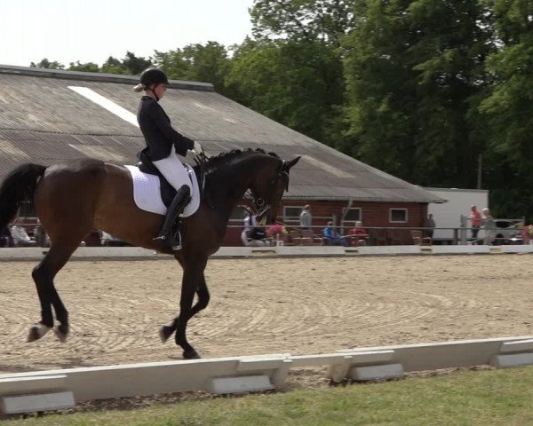 Reitturnier Mettingen 2023