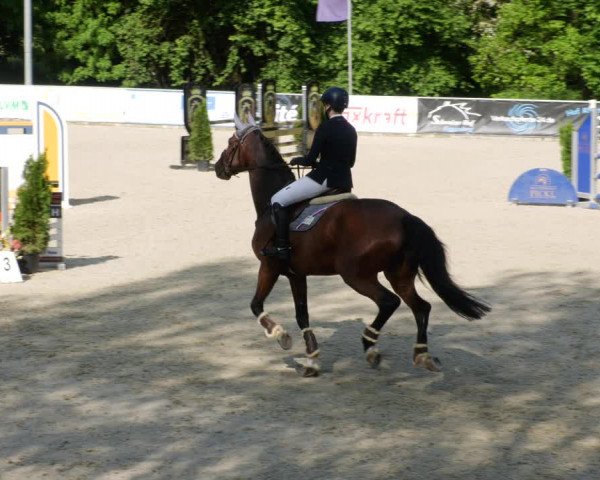 Reitturnier Karlsfeld/Obb. 2023