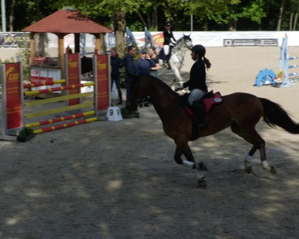 Reitturnier Karlsfeld/Obb. 2023