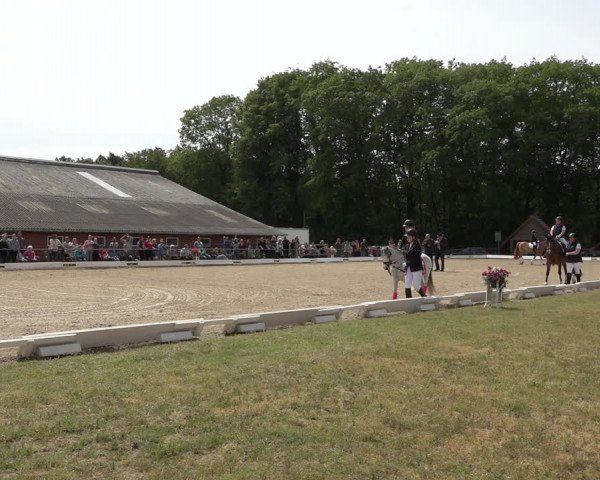 Reitturnier Mettingen 2023