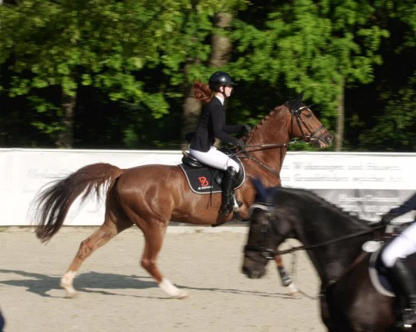 Reitturnier Karlsfeld/Obb. 2023