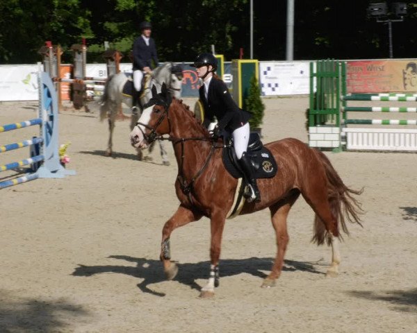 Reitturnier Karlsfeld/Obb. 2023