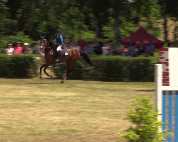 Reitturnier Wustrow 2023
