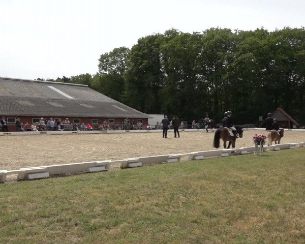 Reitturnier Mettingen 2023