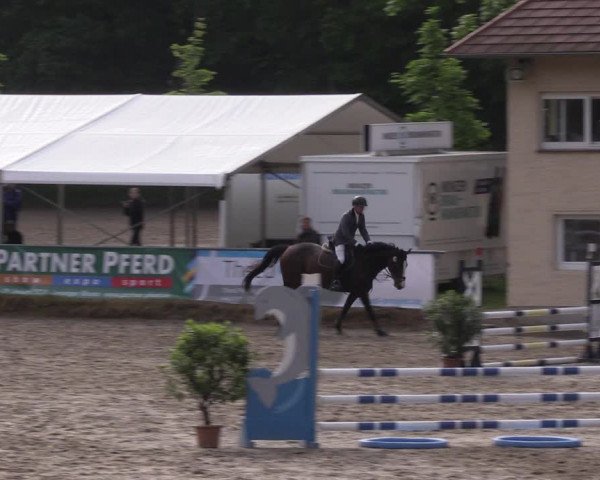 Reitturnier Lgl.-Oberhain 2023