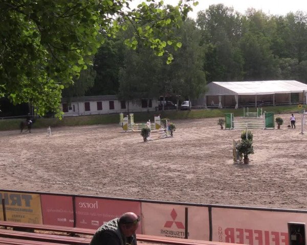 Reitturnier Lgl.-Oberhain 2023