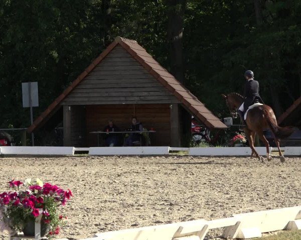 Reitturnier Mettingen 2023