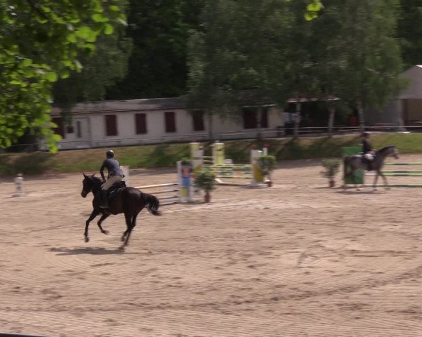 Reitturnier Lgl.-Oberhain 2023