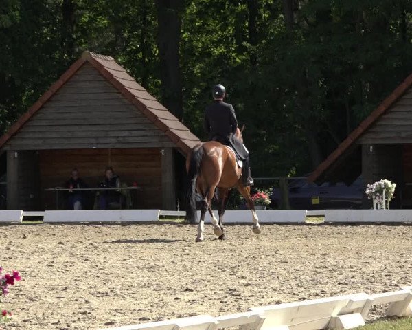 Reitturnier Mettingen 2023