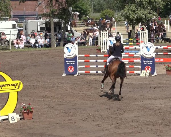Reitturnier Mettingen 2023