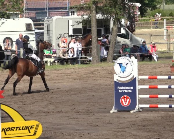 Reitturnier Mettingen 2023