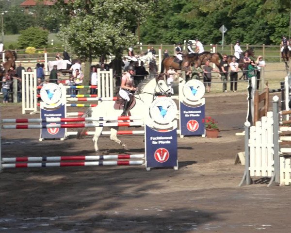 Reitturnier Mettingen 2023