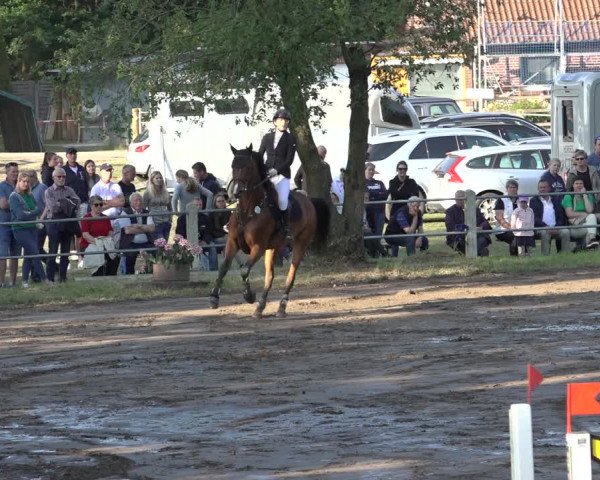 Reitturnier Mettingen 2023
