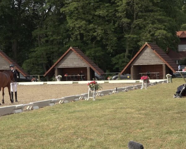 Reitturnier Mettingen 2023