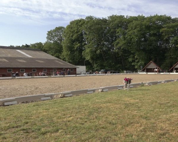 Reitturnier Mettingen 2023