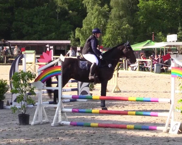 Reitturnier Kropp 2023