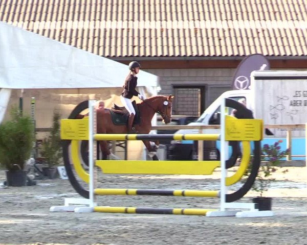 Reitturnier Kropp 2023