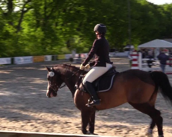 Reitturnier Kropp 2023