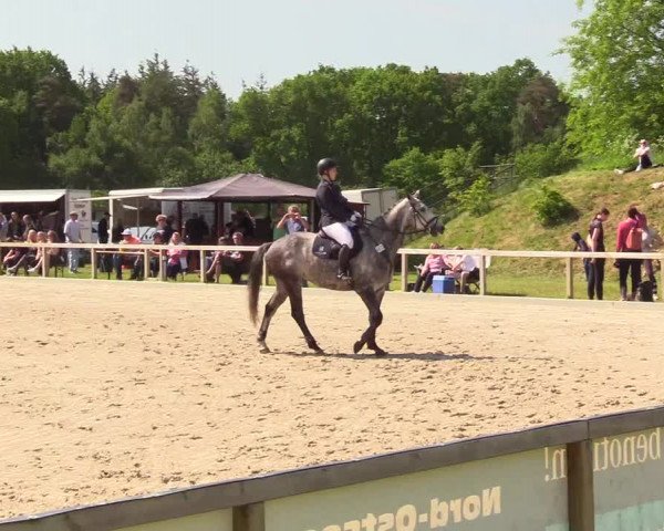 Reitturnier Kropp 2023