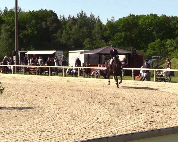 Reitturnier Kropp 2023