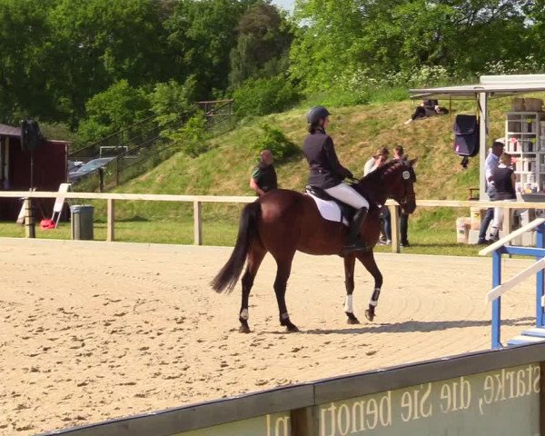 Reitturnier Kropp 2023