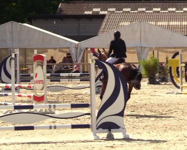 Reitturnier Kropp 2023