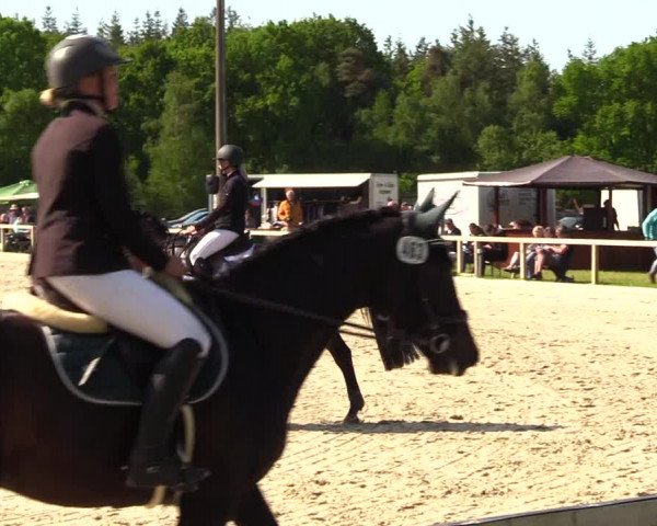 Reitturnier Kropp 2023