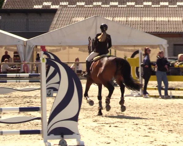Reitturnier Kropp 2023