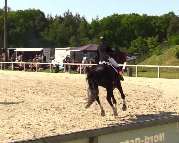 Reitturnier Kropp 2023