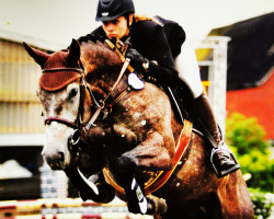 broodmare Quobra (Holsteiner, 2005, from Quebec)