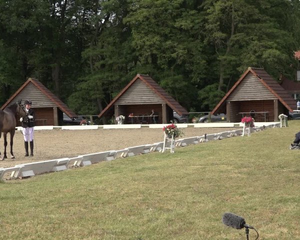 Reitturnier Mettingen 2023