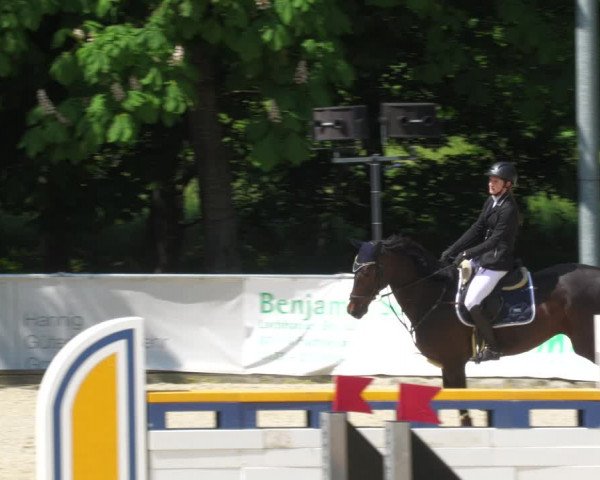 Reitturnier Karlsfeld/Obb. 2023