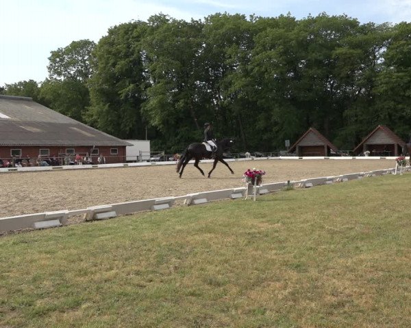 Reitturnier Mettingen 2023