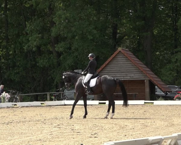Reitturnier Mettingen 2023