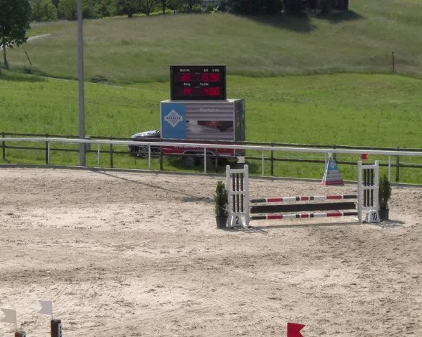 Reitturnier Rüti 2023