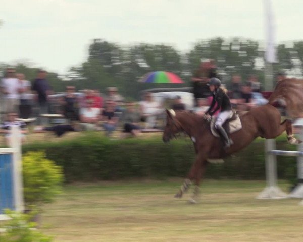 Reitturnier Wustrow 2023
