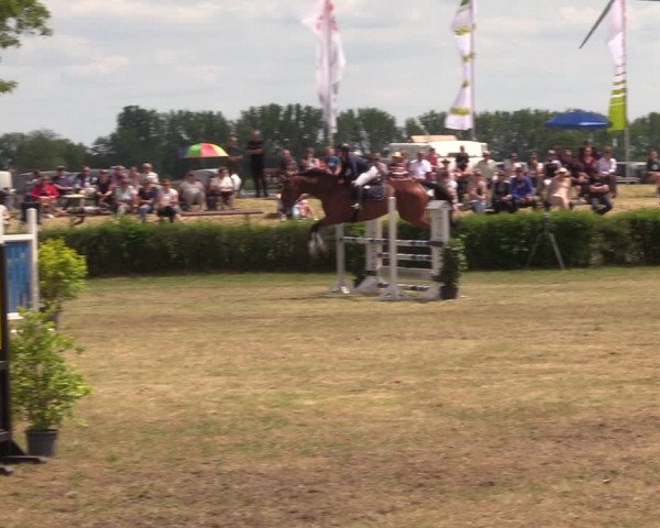 Reitturnier Wustrow 2023