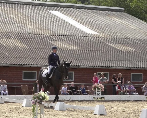 Reitturnier Mettingen 2023