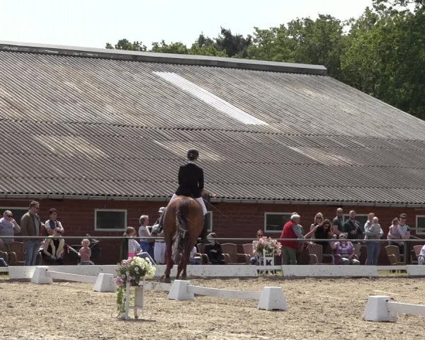 Reitturnier Mettingen 2023