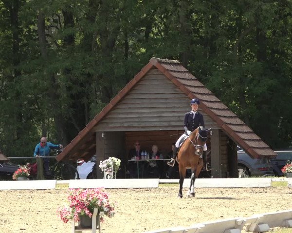 Reitturnier Mettingen 2023