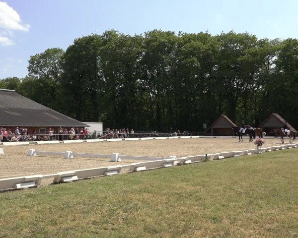 Reitturnier Mettingen 2023