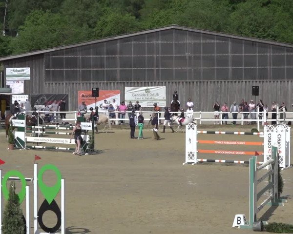 Reitturnier Siegen-Weidenau 2023