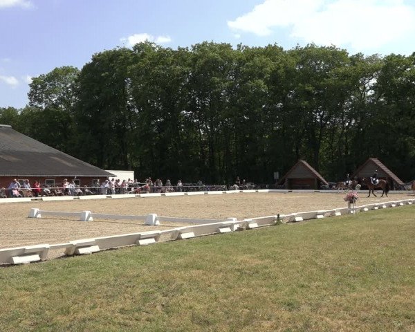 Reitturnier Mettingen 2023