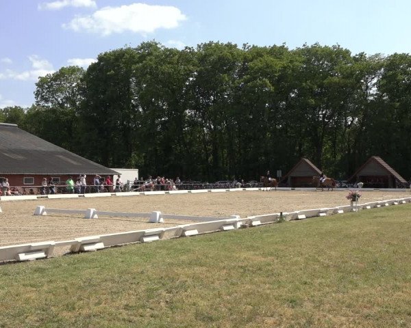 Reitturnier Mettingen 2023