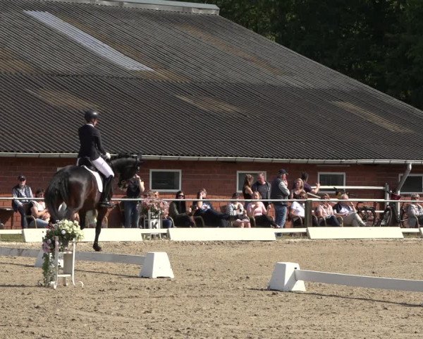 Reitturnier Mettingen 2023