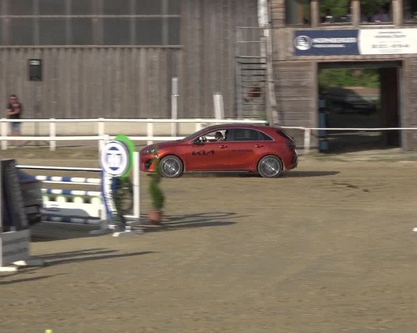 Reitturnier Siegen-Weidenau 2023