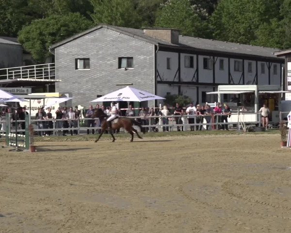 Reitturnier Siegen-Weidenau 2023