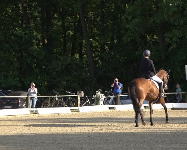 Reitturnier Mettingen 2023