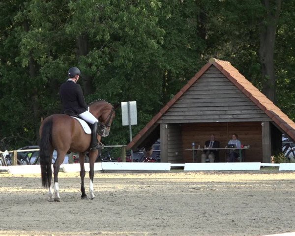 Reitturnier Mettingen 2023