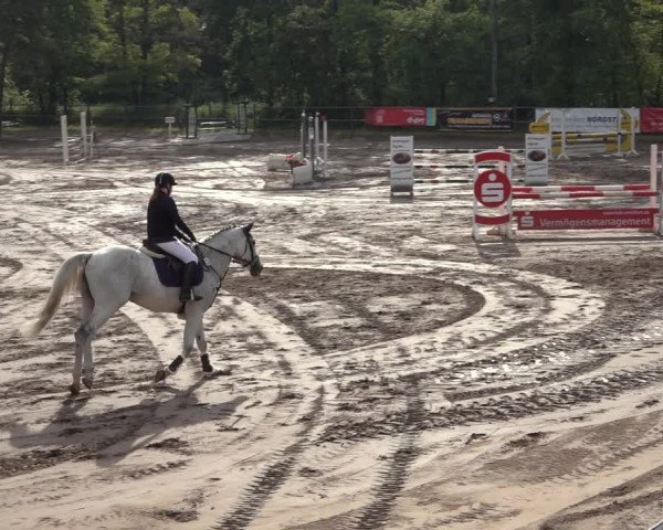 Reitturnier Mettingen 2023